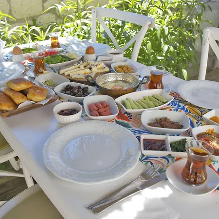 Ionic 2* 阿拉恰特