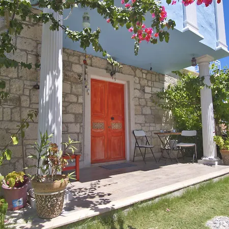 Ionic 2* 阿拉恰特