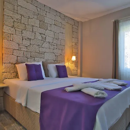 住宿加早餐酒店 Ionic 阿拉恰特