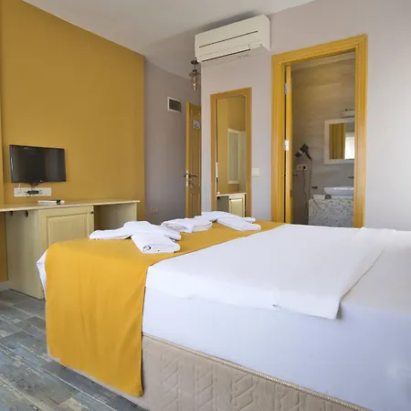 住宿加早餐酒店 Ionic 阿拉恰特