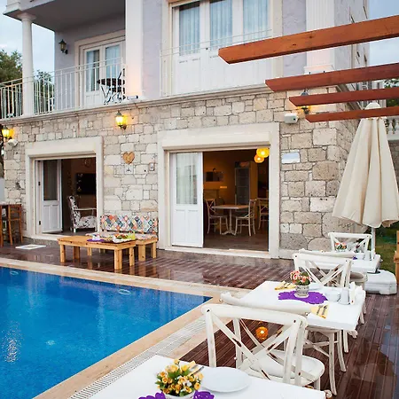 Ionic אלאקאטי